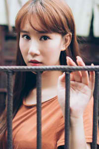 青云志全集