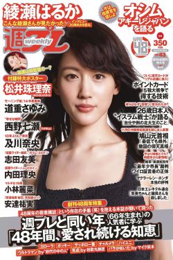 郑伊健 蒙嘉慧