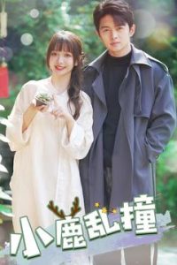 小鹿亂撞